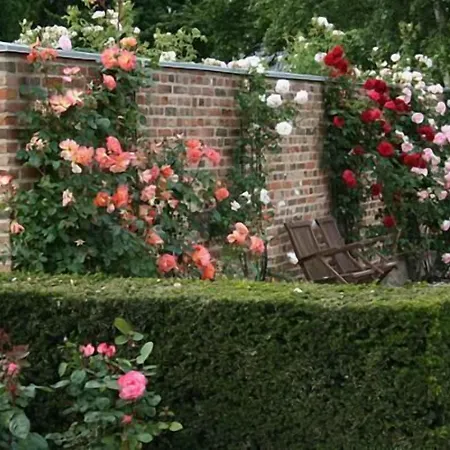 Smedegaarden Hotel