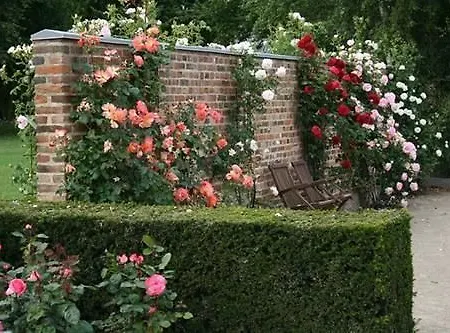 Smedegaarden Hotel 3*